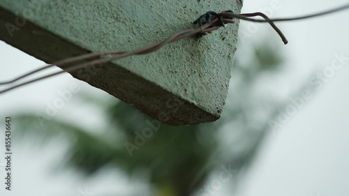  Electricity in the air captured in a moment of stillness photo