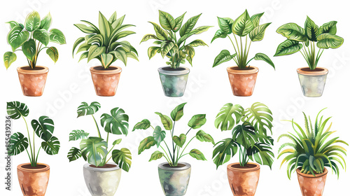 Set of different plants in pots isolated on white background illustration