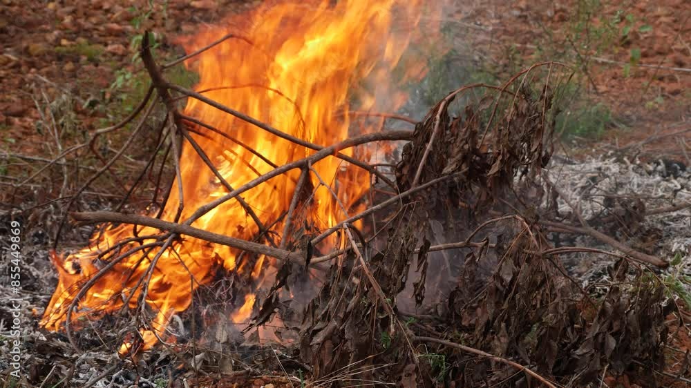 Amidst the flames a dance of destruction and creation Amidst the flames a dance of destruction and creation