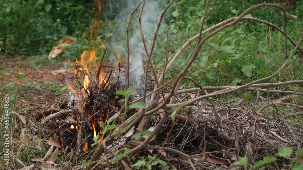 Wildfire in a forest a dangerous and powerful force of nature Wildfire in a forest a dangerous and powerful force of nature