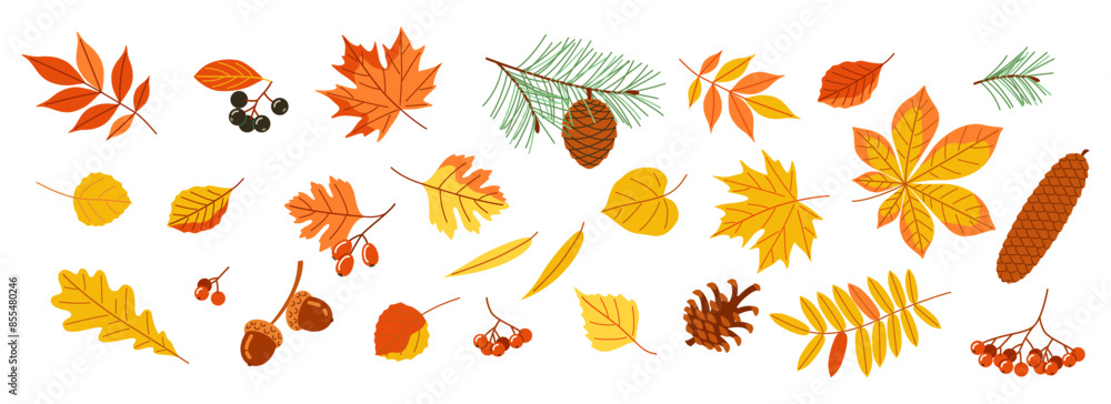 Autumn set of isolated items. Collection of yellowed leaves, berries with nuts and cones. Flat vector illustration on light background Autumn set of isolated items. Collection of yellowed leaves, berries with nuts and cones. Flat vector illustration on light background