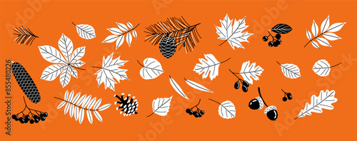 Autumn Set. Collection of forest mushrooms, yellowed leaves, berries with nuts and cones.  Black and white illustration vector illustration on orange background