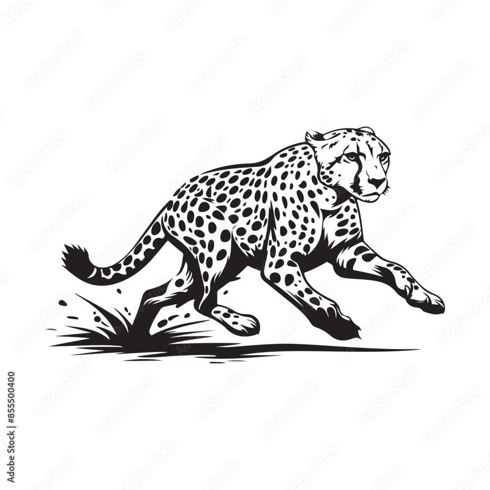 Cheetah Vector image, Art, Icons, and Graphics isolated on white background Cheetah Vector image, Art, Icons, and Graphics isolated on white background