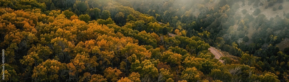 Aerial view of a forest during autumn with vibrant fall foliage and misty atmosphere, perfect for nature and seasonal scenery lovers. Aerial view of a forest during autumn with vibrant fall foliage and misty atmosphere, perfect for nature and seasonal scenery lovers.