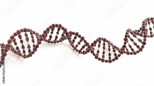 Stylized DNA double helix made of red spheres on a white background, representing genetics, biochemistry, and molecular biology.