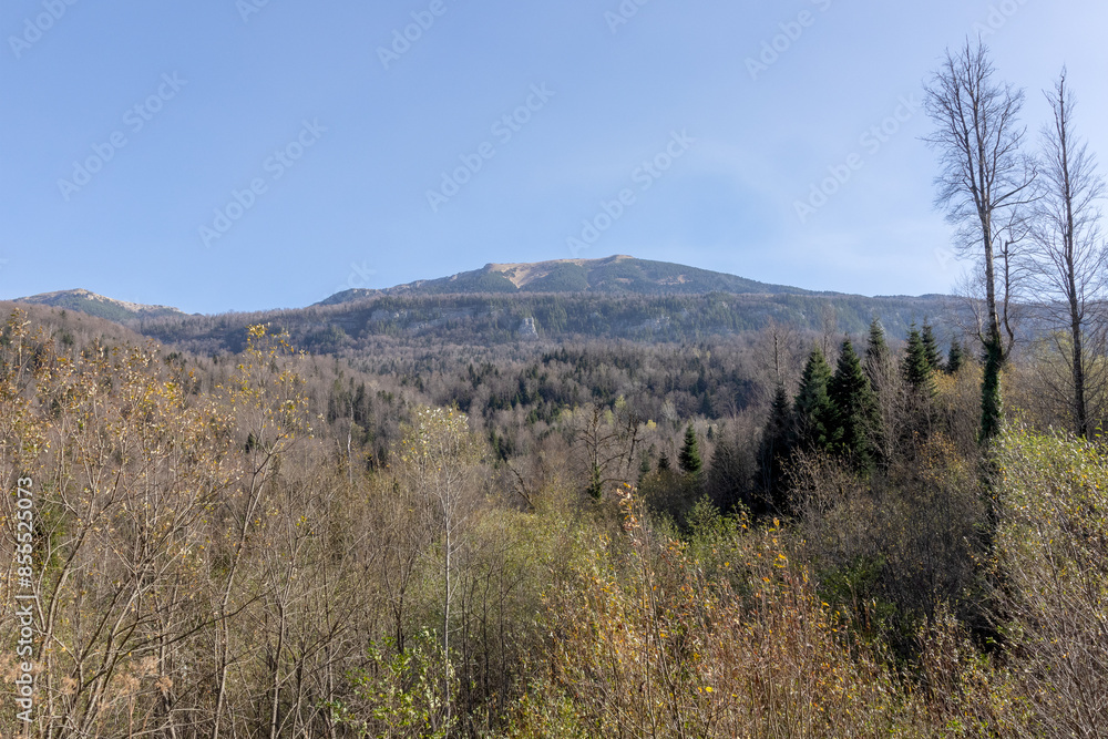 Obraz premium the beginning of autumn, walks in the countryside, panoramic views and seasonal state in nature, the colors of autumn
