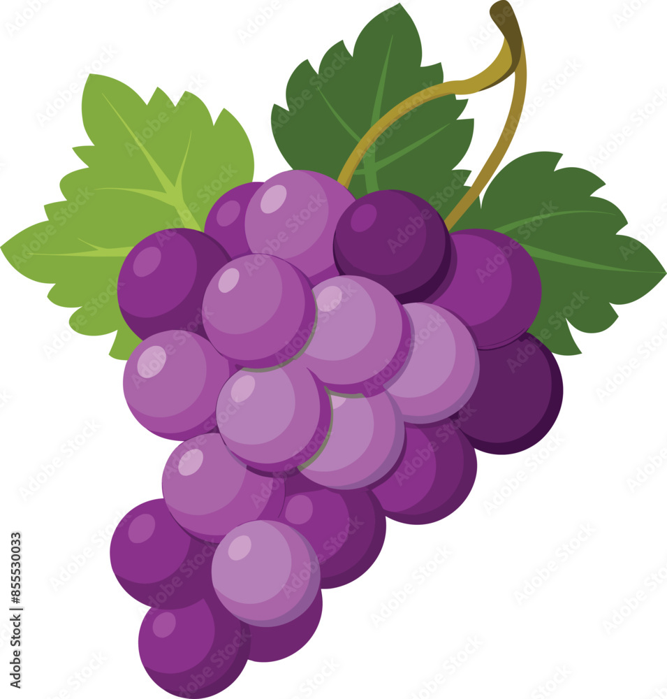 Bunch of purple grapes hanging on the vine Bunch of purple grapes hanging on the vine