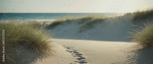 Close-up on beachgrass swaying in the wind atop