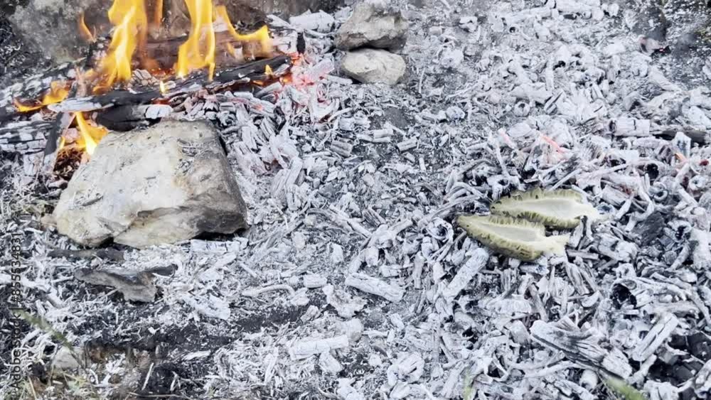 How to cook natural morel mushrooms on a campfire How to cook natural morel mushrooms on a campfire