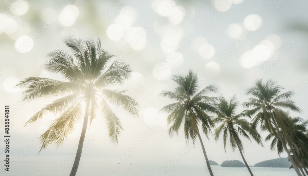 Obraz premium palm tree in the sun