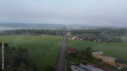the beautiful morning rice fields are covered in mist and iluminayed by the morning sun