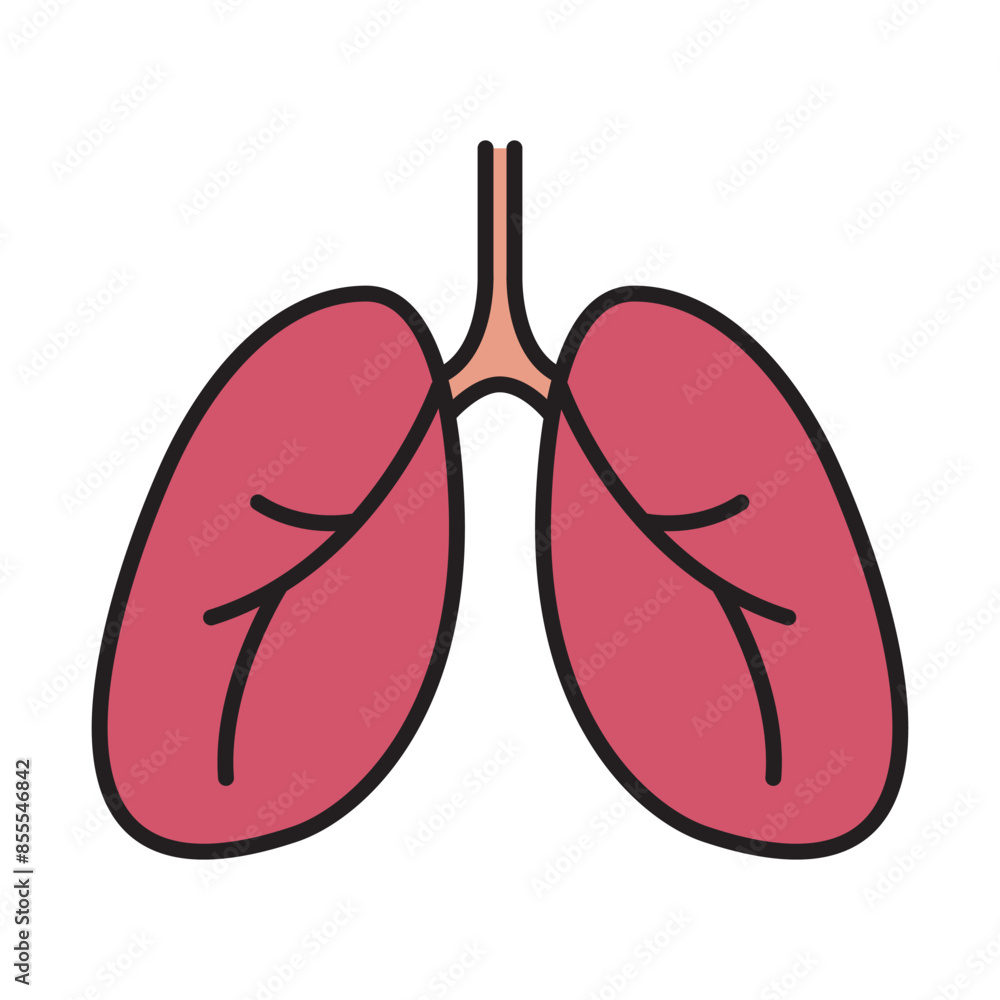 lung icon, human body anatomy lung icon, human body anatomy