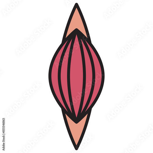 muscle icon, human body anatomy