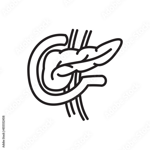 pancreas antatomy icon, human body anatomy