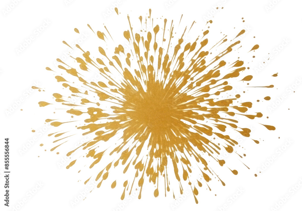 Fototapeta premium PNG Festival firework fireworks backgrounds splattered.
