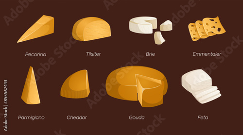 Collection of different types of cheeses on a brown background. Vector illustration with text. Ideal for posters and banner, menu of cafe and shops. Colorful and bright set in realistic style. Brie