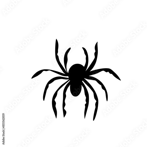 Spider silhouettes photo