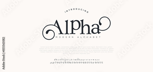 Alpha premium luxury elegant alphabet letters and numbers. Elegant wedding typography classic serif font decorative vintage retro. Creative vector