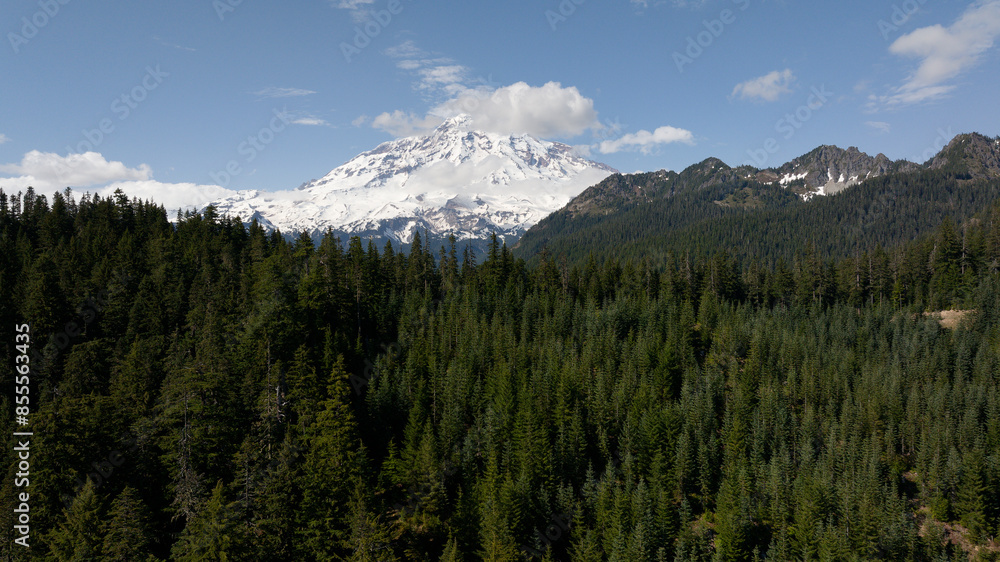 Panoramic View of Evergreen Forest with Snow-Capped Mountain Peaks under Clear Blue Sky Panoramic View of Evergreen Forest with Snow-Capped Mountain Peaks under Clear Blue Sky