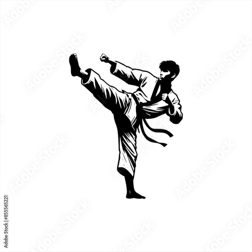 taekwondo high kick silhouette drawing