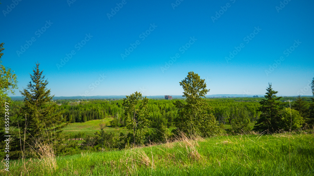 landscape with trees and blue sky landscape with trees and blue sky
