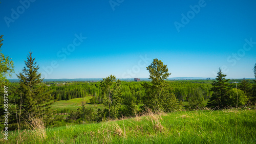 landscape with trees and blue sky