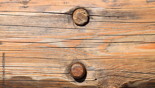 Holz190624a