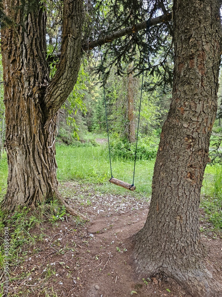 Swing in the forest
