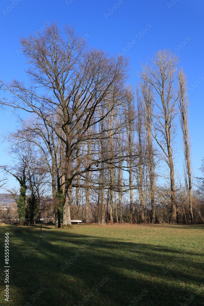 Blick auf die Naturlandschaft bei Stein am Rhein in der Schweiz Blick auf die Naturlandschaft bei Stein am Rhein in der Schweiz