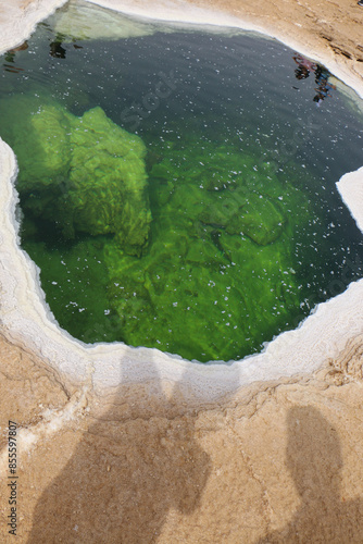 crystal pond in danakil depression