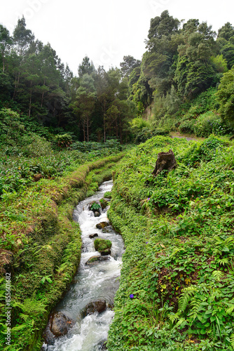 Pequeno rio atravessa a floresta verdejante do Parque Grená photo