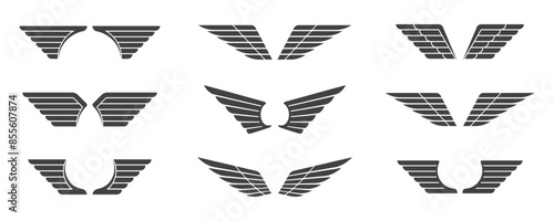 wings vector grey color