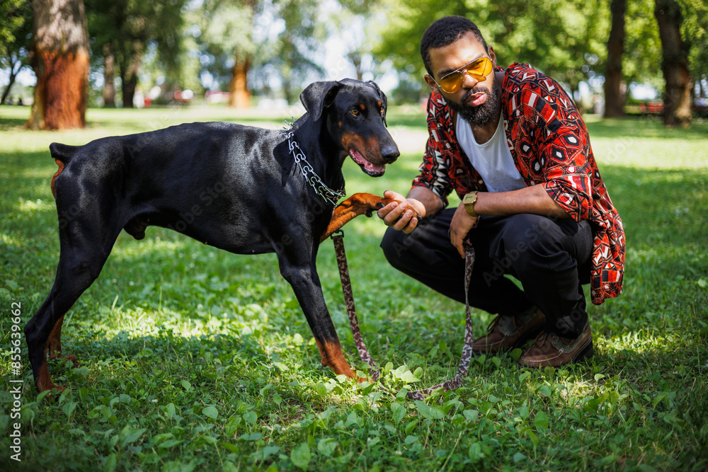 African american man holding paw of doberman dog in summer park African american man holding paw of doberman dog in summer park