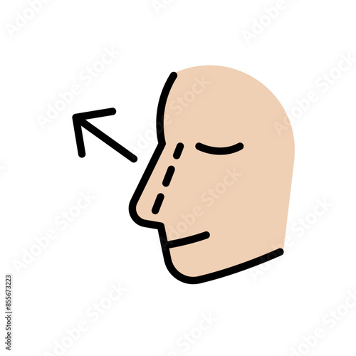 Rhinoplasty icon