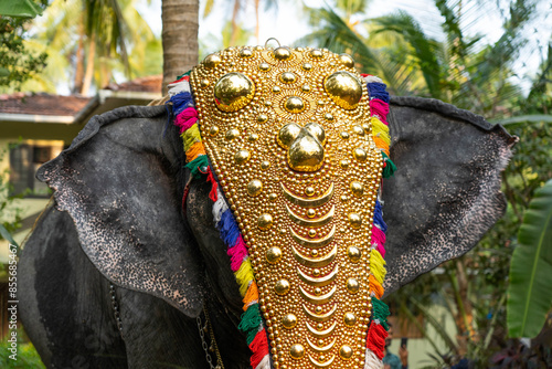 Elephant Kerala Festival