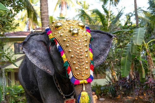 Canvas Print Elephant Kerala Festival