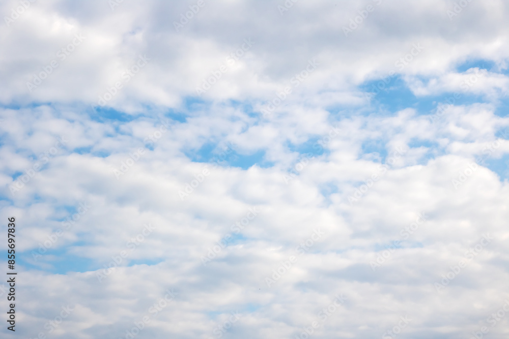 Fototapeta premium Electric blue sky with fluffy white cumulus clouds