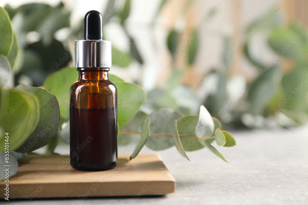Aromatherapy. Bottle of essential oil and eucalyptus leaves on grey table Aromatherapy. Bottle of essential oil and eucalyptus leaves on grey table