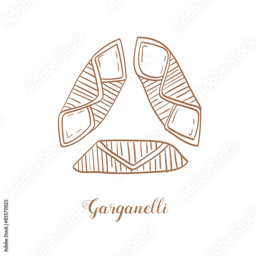 Garganelli pasta illustration. Vector sketch. Traditional Italian food. Hand-drawn image. Isolated icon photo