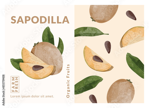 Sapodilla packaging design templates, watercolour style vector illustration.