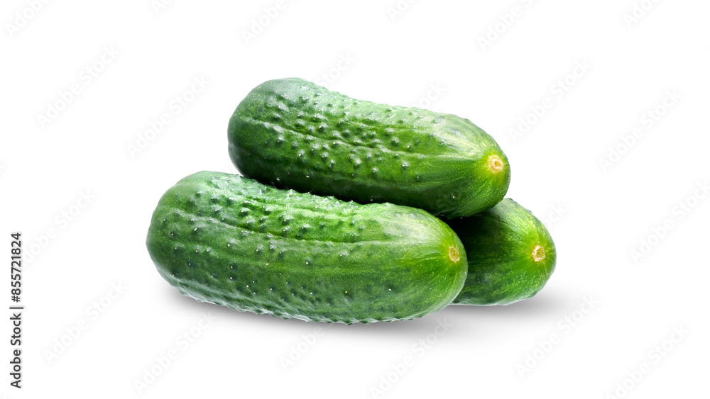cucumbers isolated on white background, clipping path, full depth of field. High quality photo cucumbers isolated on white background, clipping path, full depth of field. High quality photo