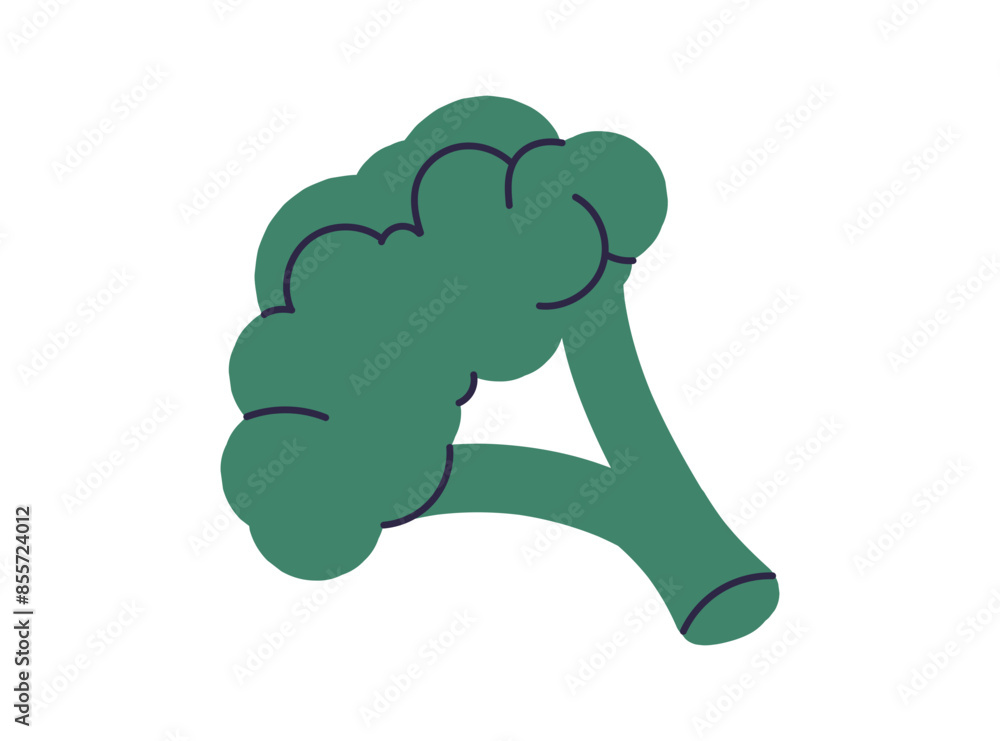 Obraz premium Fresh green vegetable broccoli, healthy natural vitamin food ingredients, green broccoli food, healthy natural cabbage tree, raw veggie isolated on white background flat vector illustration. 