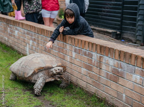 Child Interacting with Giant Tortoise in Zoo Enclosure