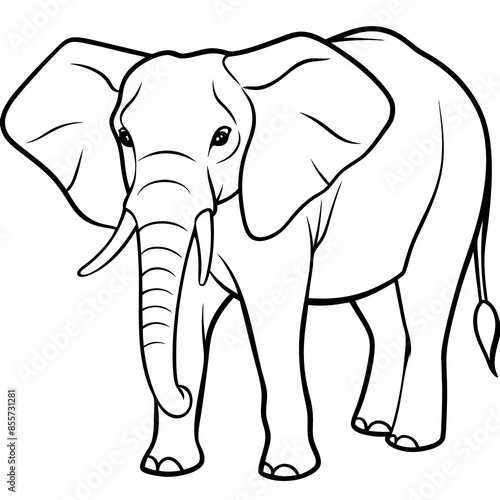 Asian elephant and African elephant vector line art and silhouette illustration