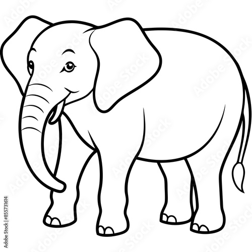 Asian elephant and African elephant vector line art and silhouette illustration