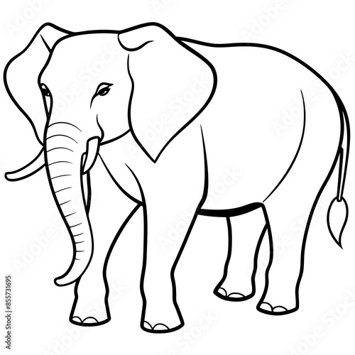 Asian elephant and African elephant vector line art and silhouette illustration