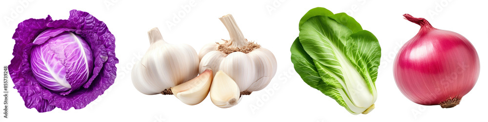 Various vegetable food design set Various vegetable food design set