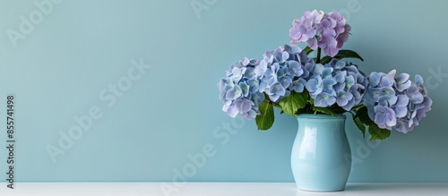Beautiful hortensia flowers...