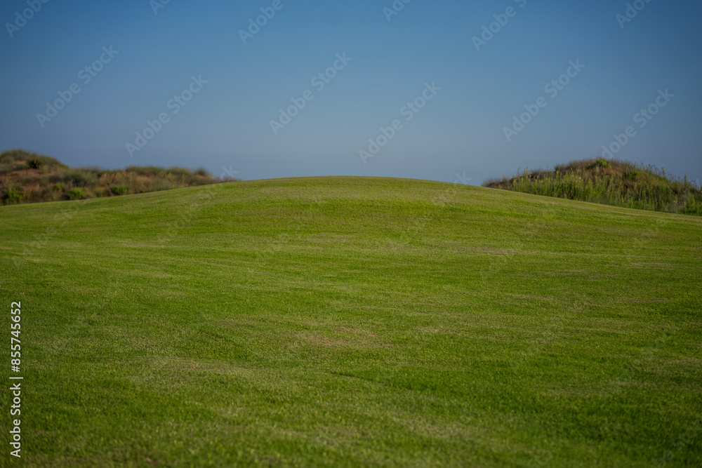 Summer landscape, green lawn and blue sky Summer landscape, green lawn and blue sky