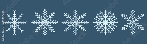Decorative Christmas snowflakes illustration set. Winter snowflakes. Hand drawn vector illustrations.